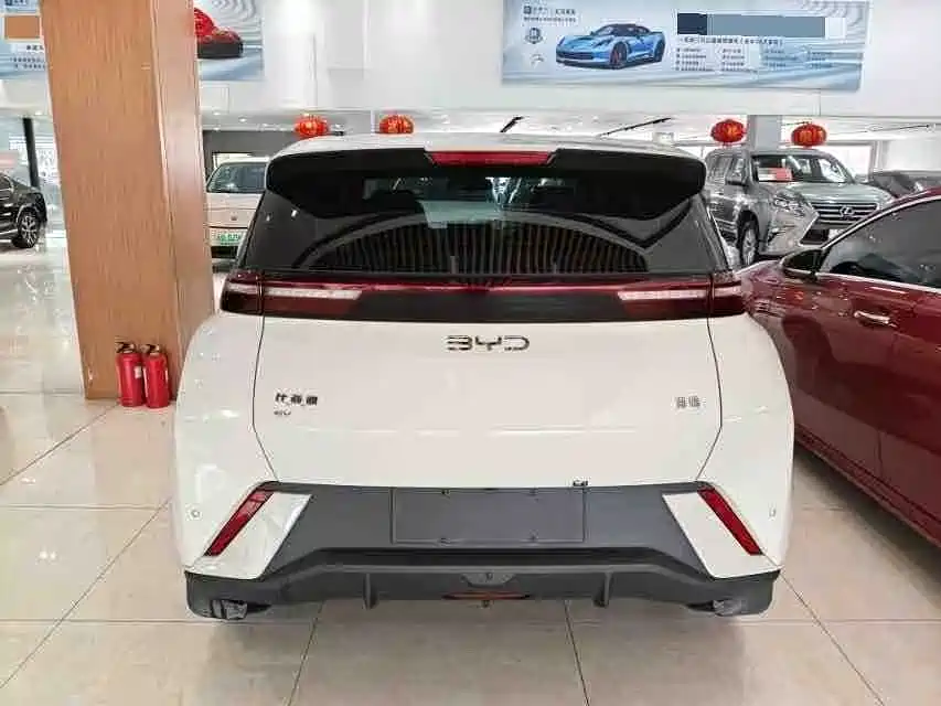 BYD Seagull 2024