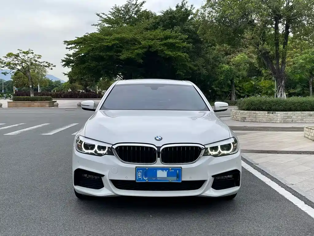 BMW 5 Series 2019