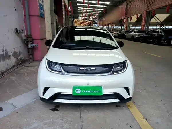 BYD Dolphin 2024