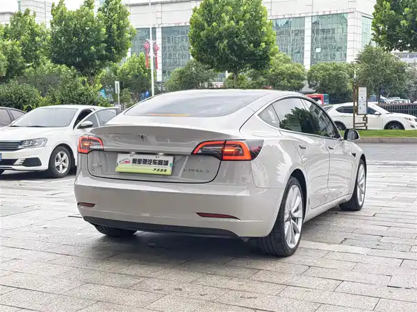 Tesla Model 3 2020