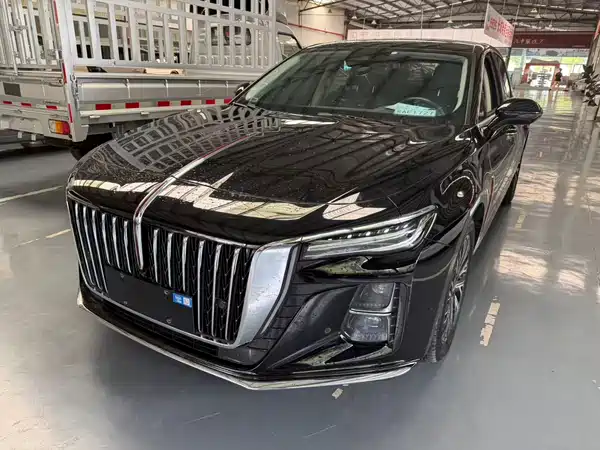 Hongqi H5 2024