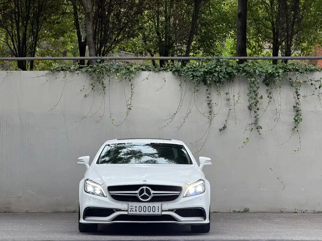 Mercedes-Benz CLS 2013 — фото 2