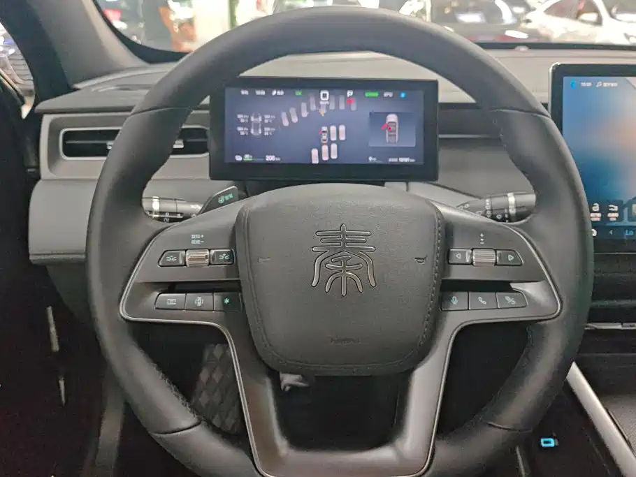 BYD Qin PLUS 2025 — фото 15