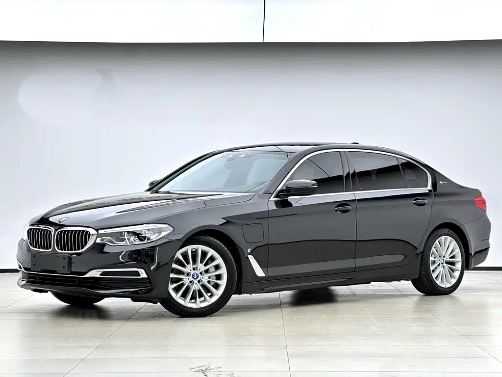 BMW 5 Series New Energy 2019