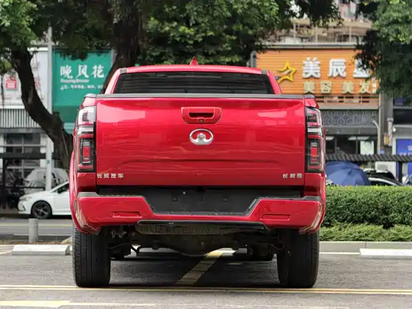 Great Wall Poer 2019