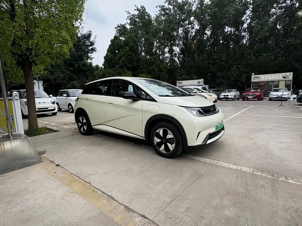 BYD Dolphin 2026