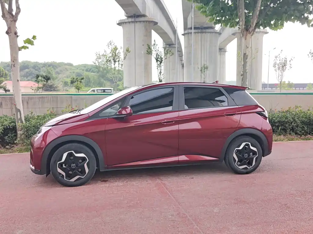 BYD Dolphin 2022