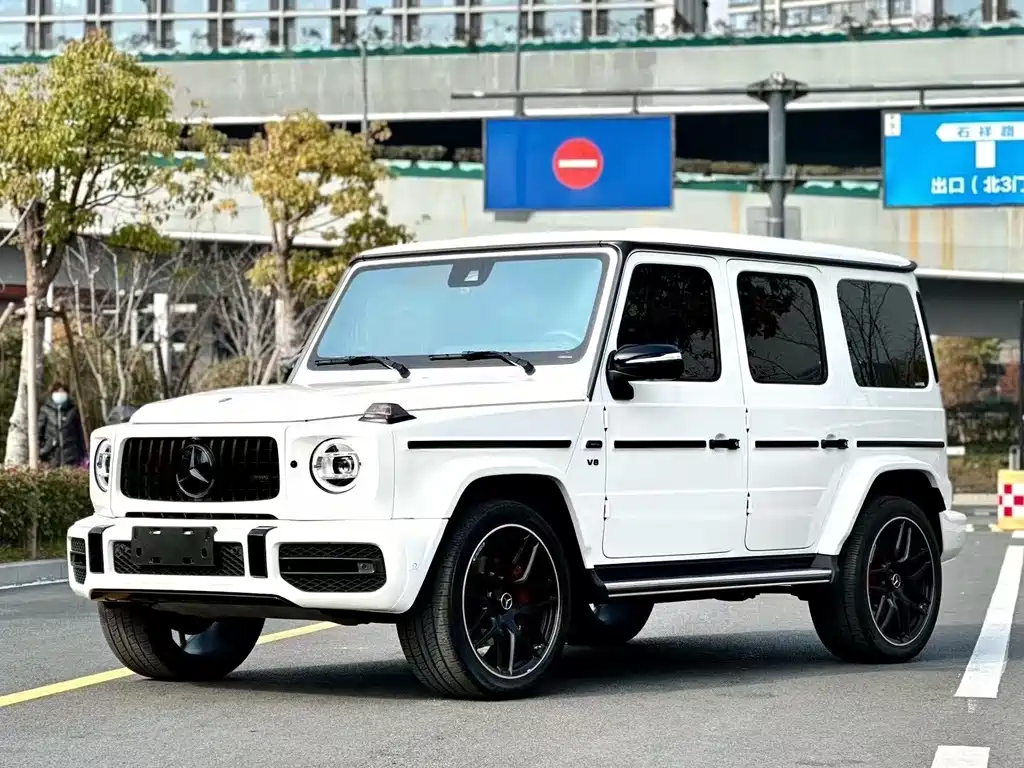 Mercedes-Benz G-Class 2019 — фото 1
