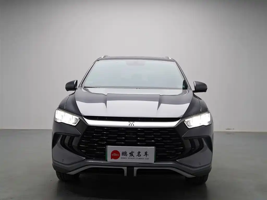 BYD Pro New Energy 2024 — фото 2