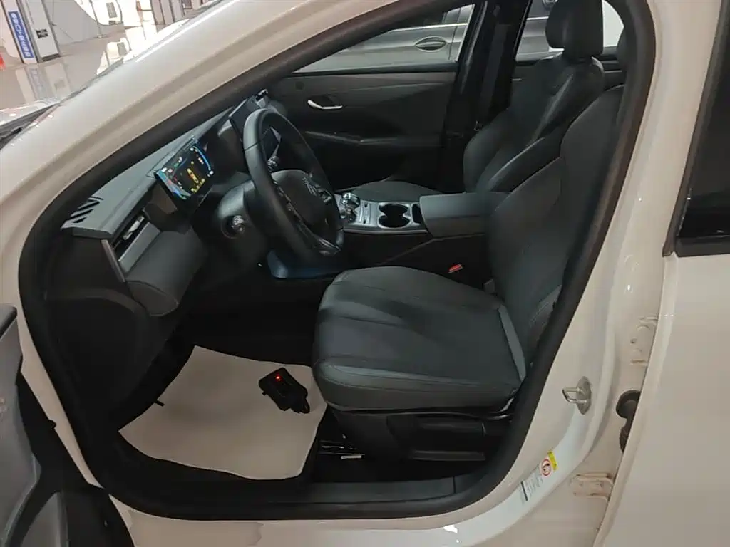 BYD Qin PLUS 2025 — фото 15