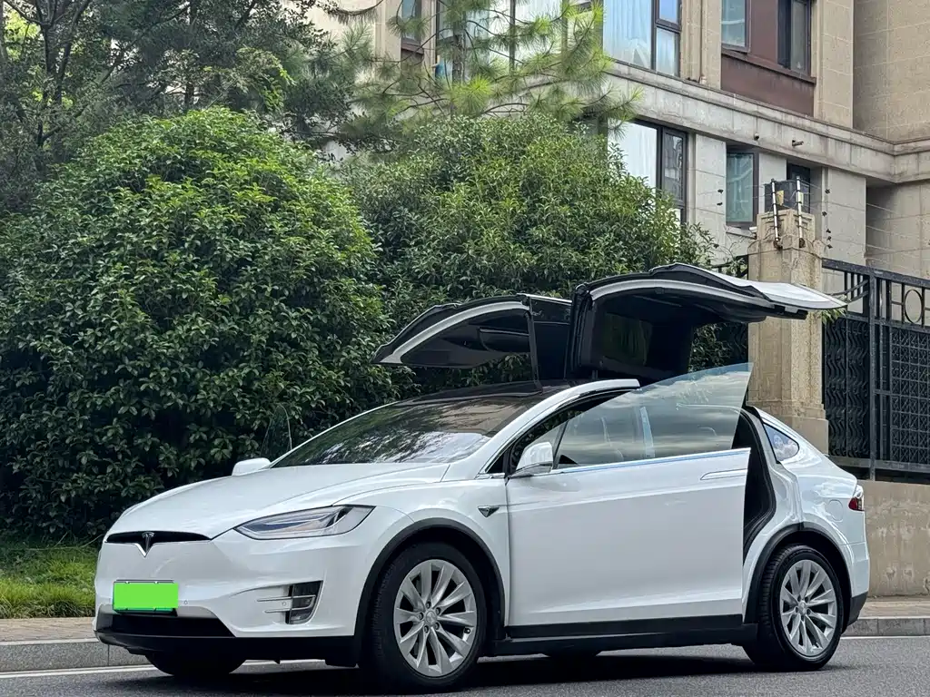 Tesla Model X 2018 — фото 3