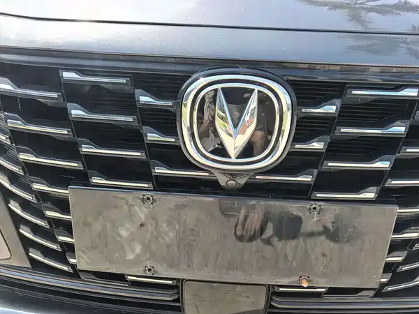 Changan Ruicheng CC 2022