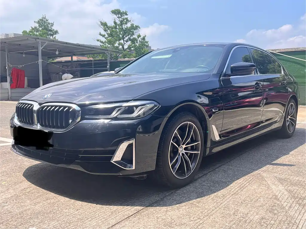BMW 5 Series New Energy 2021