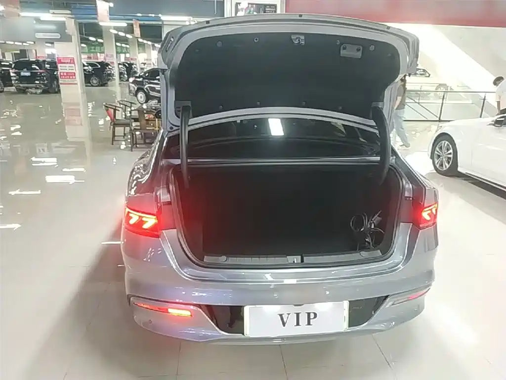 BYD Qin PLUS 2024 — фото 19