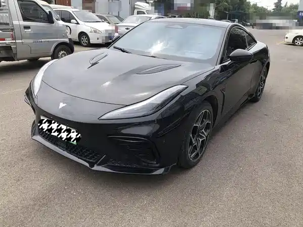 Neta GT 2024