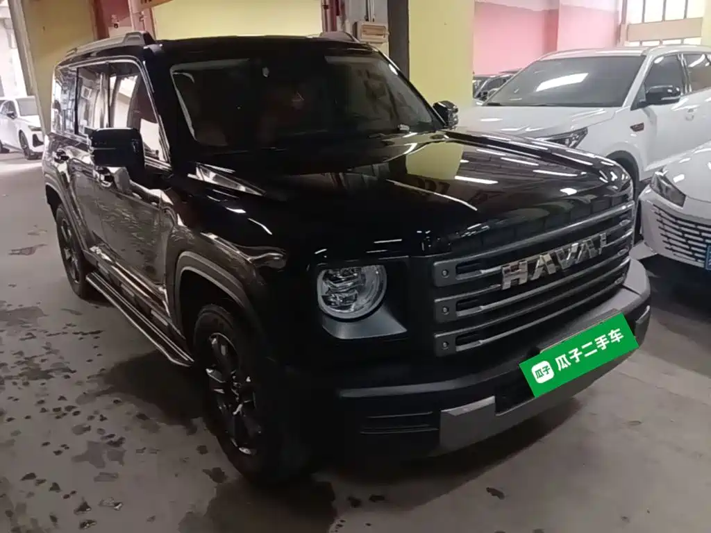Haval Menglong New Energy 2024