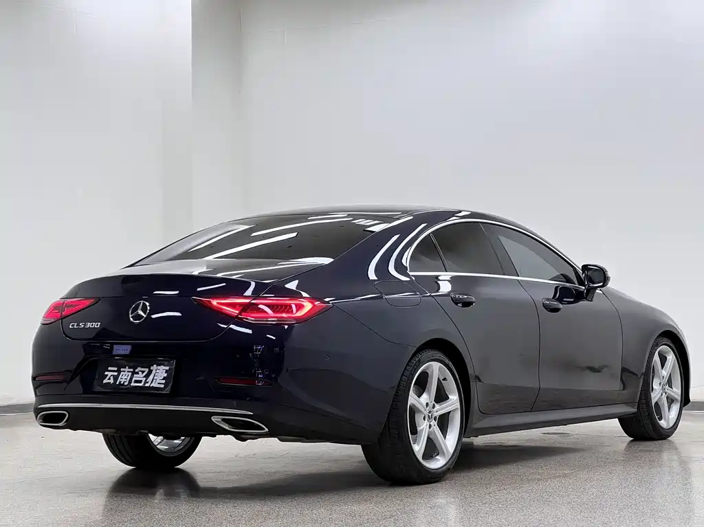 Mercedes-Benz CLS 2019 — фото 7