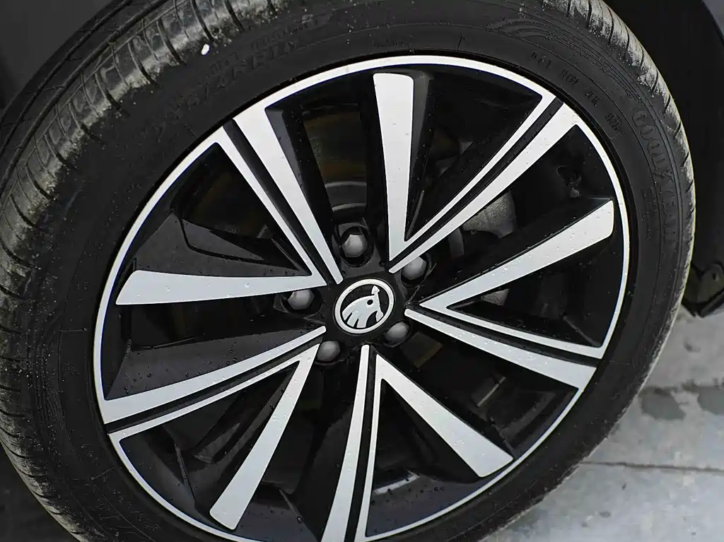 Skoda Superb 2024 — фото 17