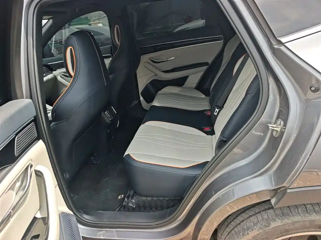 BYD PLUS New Energy 2022 — фото 17