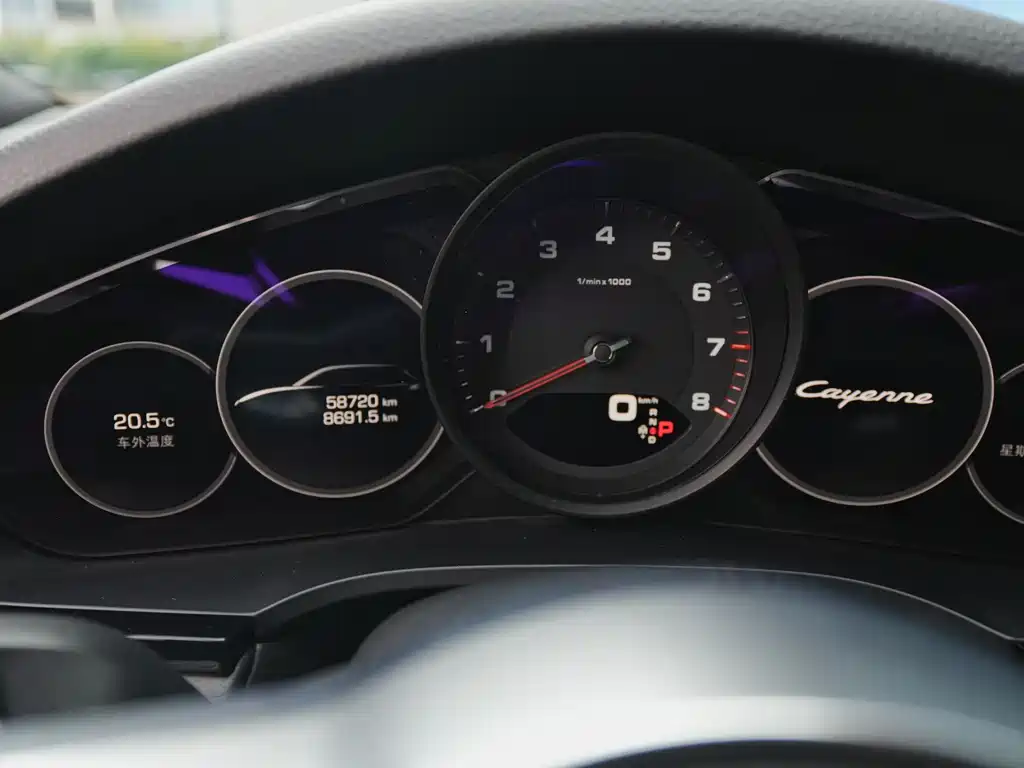 Porsche Cayenne 2020 — фото 13