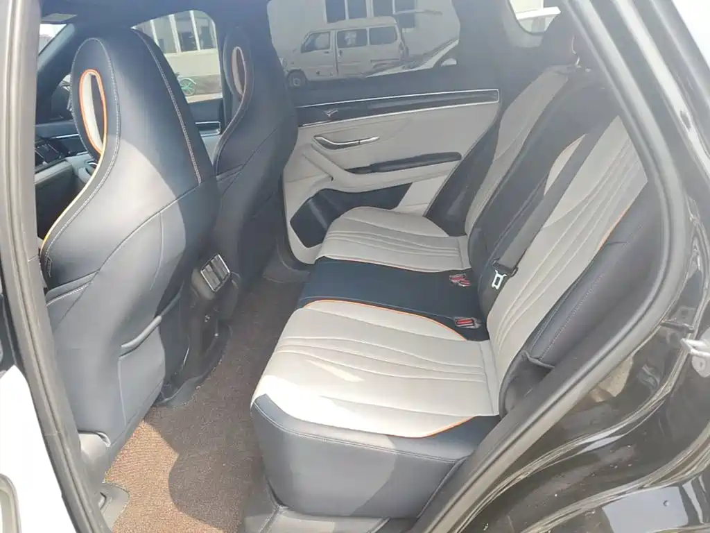 BYD Song PLUS New Energy 2022 — фото 17