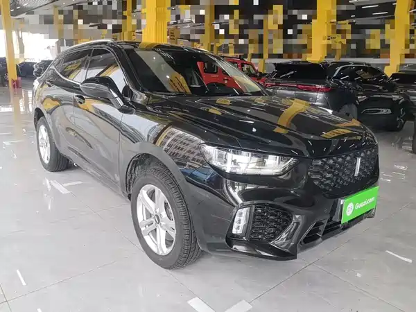 Wey VV5 2019