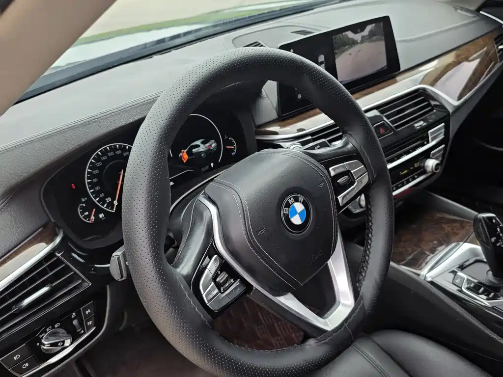 BMW 5 Series 2019 — фото 10