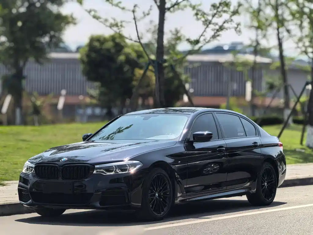 BMW 5 Series 2019