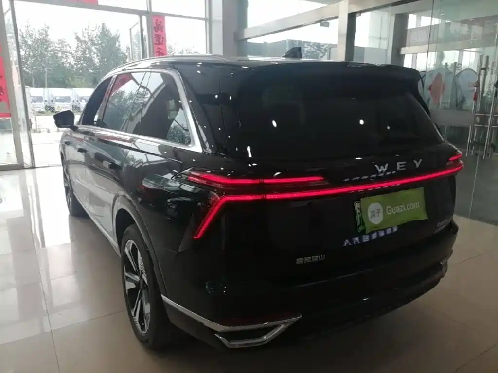 Wey Lanshan 2024