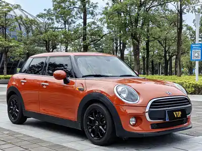 MINI MINI 2018
