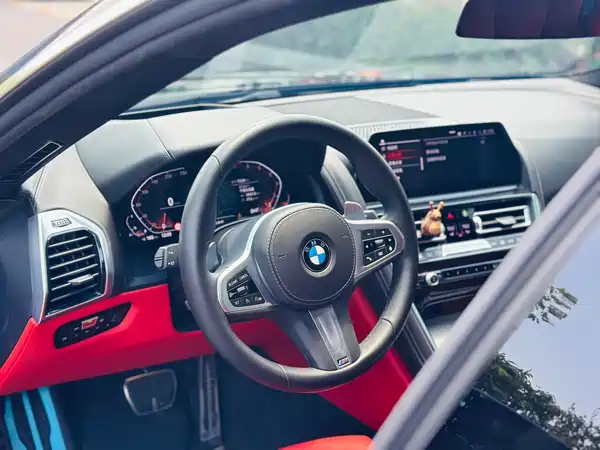 BMW 8 Series 2021