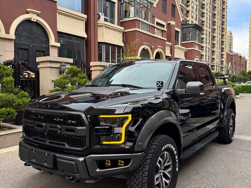 Ford F-150 Raptor 2019 — фото 1