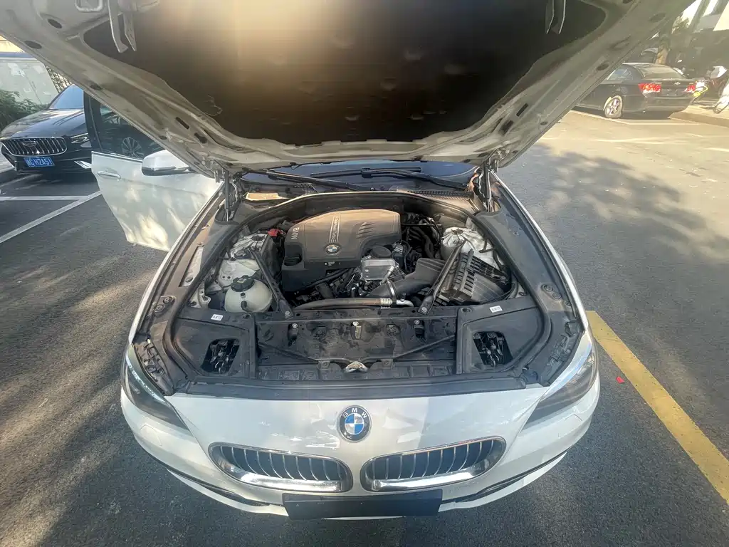 BMW 5 Series 2017 — фото 15