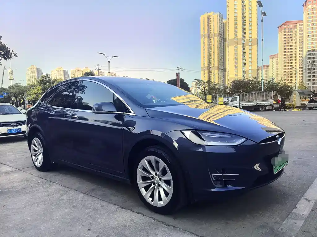 Tesla Model X 2020 — фото 3