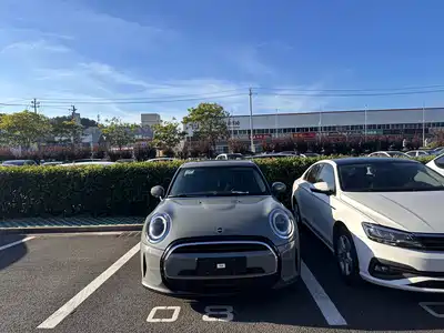 MINI MINI 2021