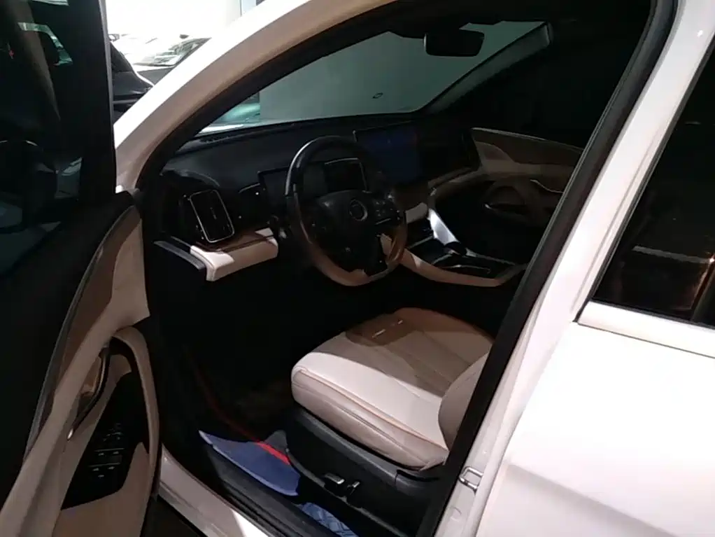 BYD Song Pro New Energy 2024 — фото 16