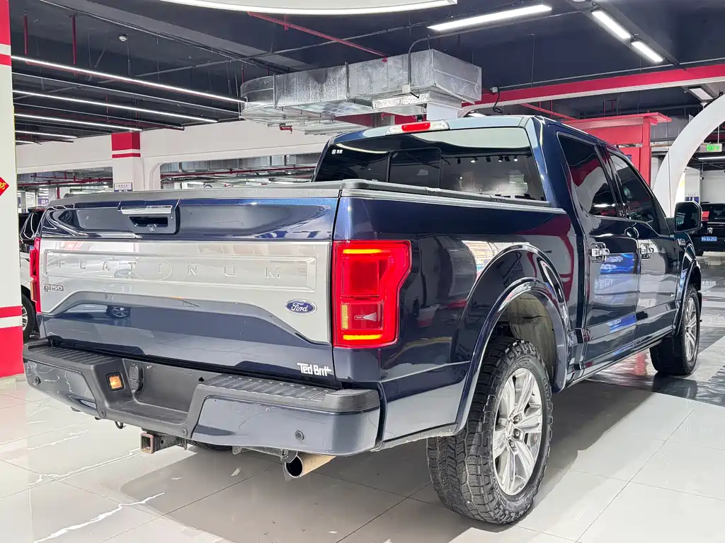 Ford F-150 Raptor 2015 — фото 9