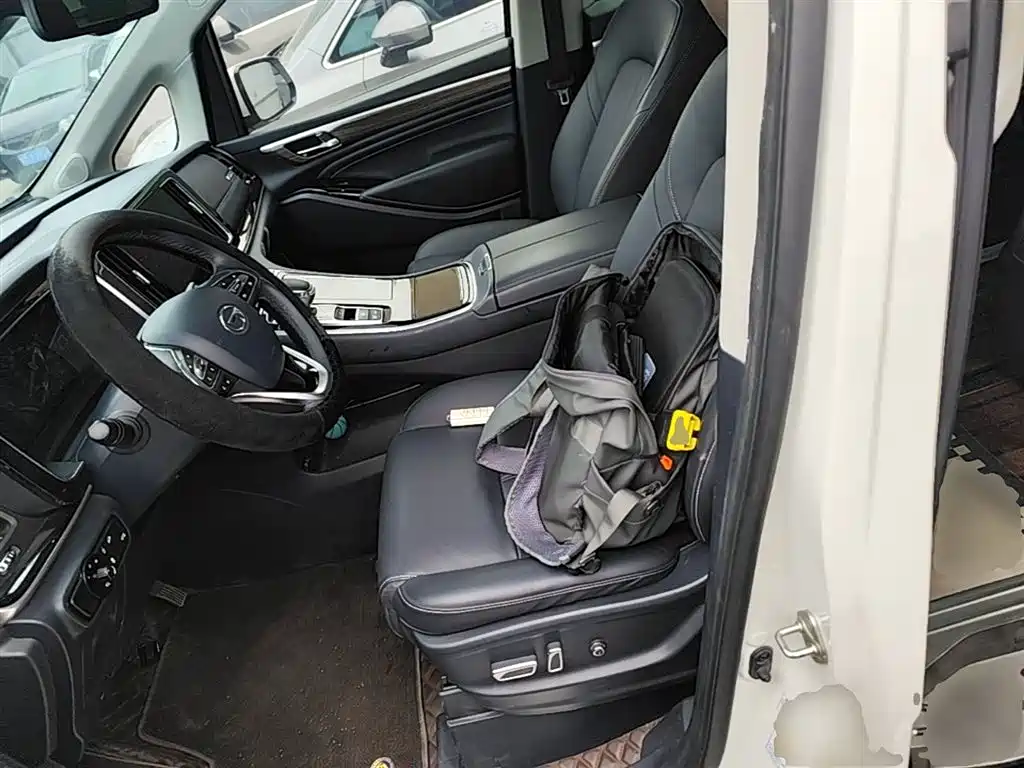GAC Motor Trumpchi M8 2022 — фото 15