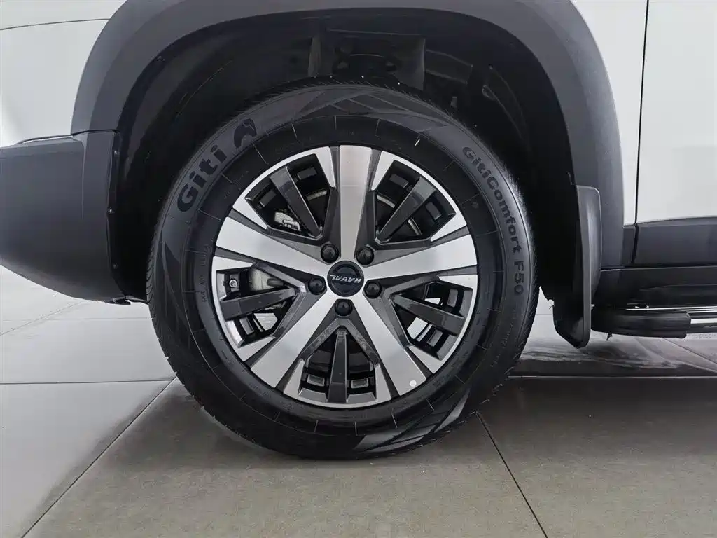 Haval Big Dog 2021 — фото 17