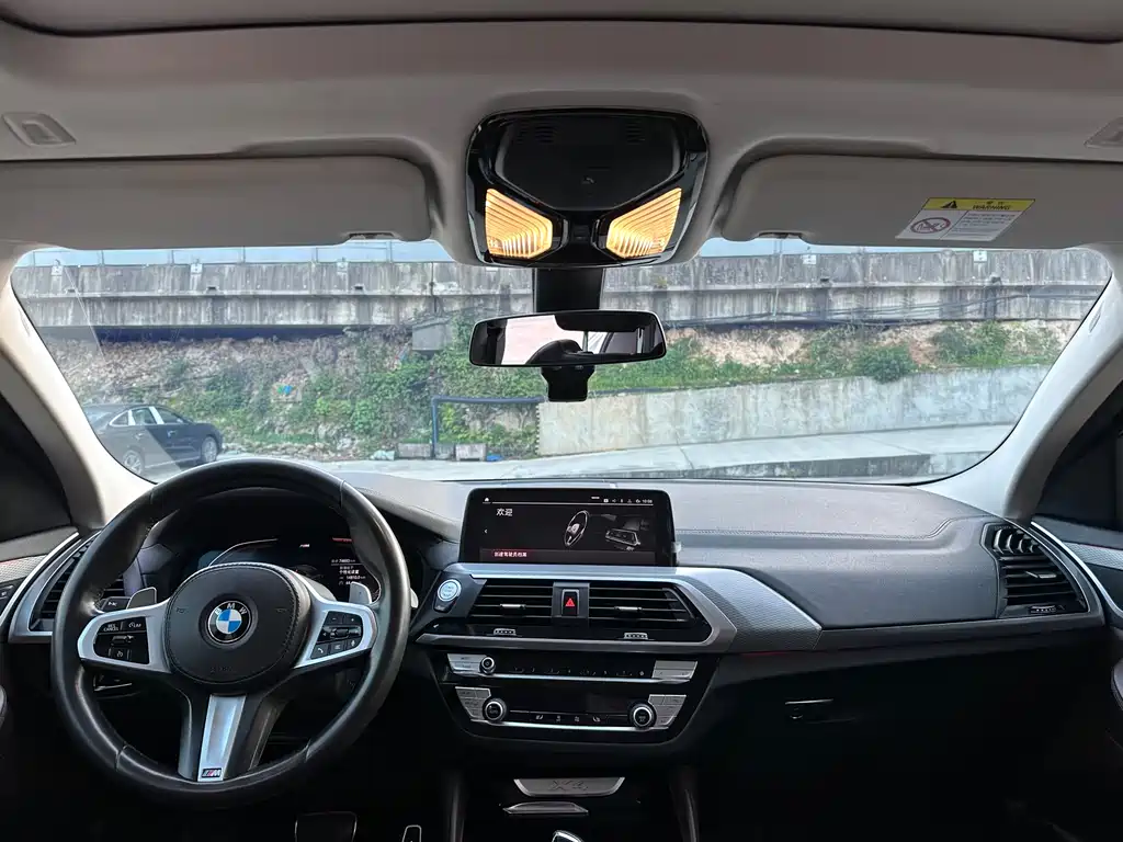 BMW X4 2021 — фото 6