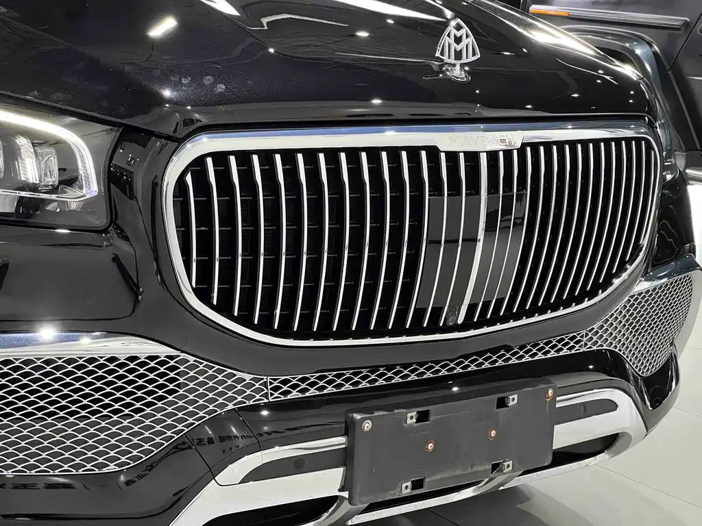 Mercedes-Benz Maybach GLS 2022 — фото 9