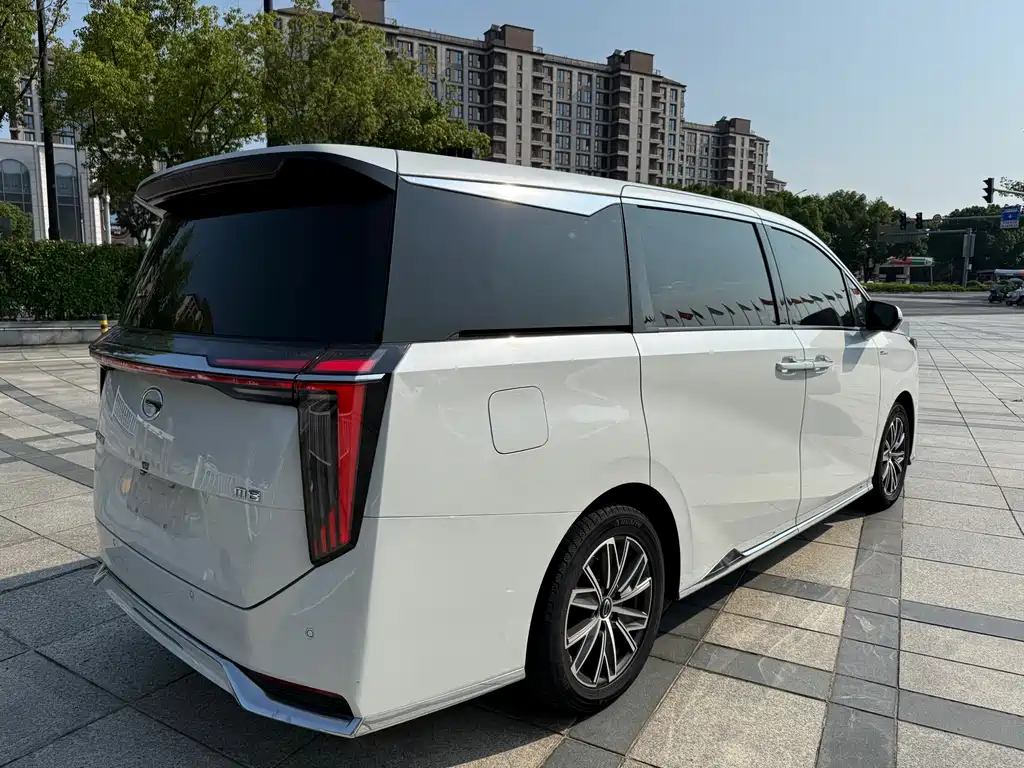 GAC Motor Trumpchi M8 2024 — фото 19