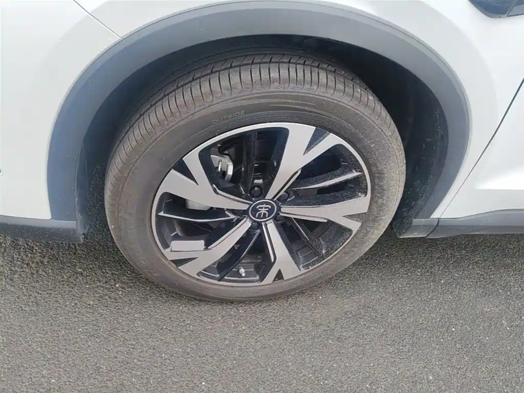 BYD Pro New Energy 2025 — фото 23