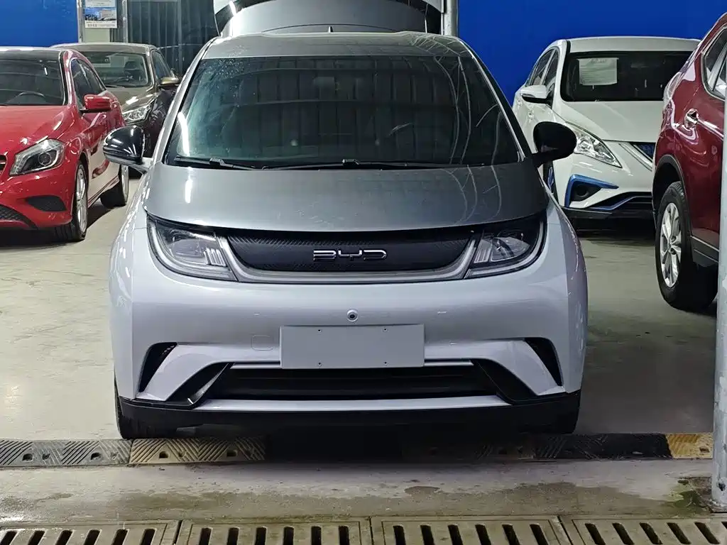 BYD Dolphin 2022