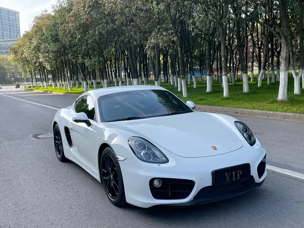 Porsche Cayman 2015