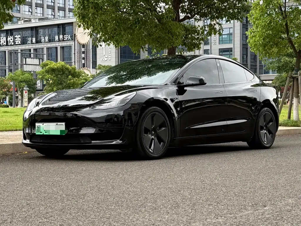 Tesla Model 3 2021 — фото 1