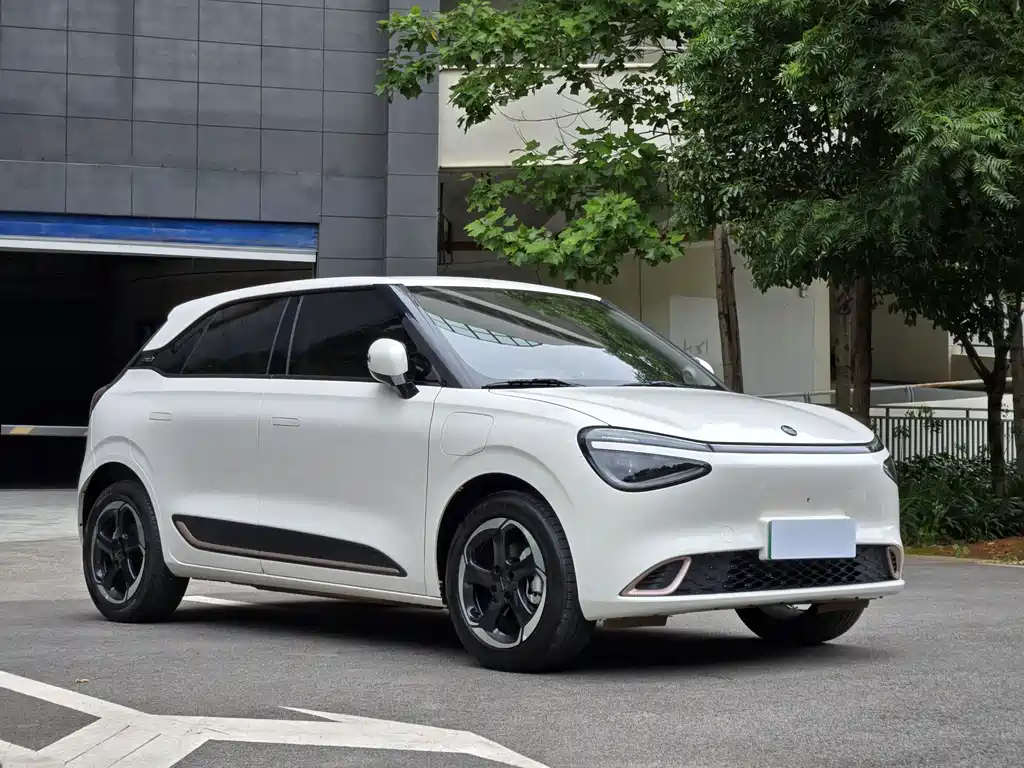 Dongfeng Nano 01 2024