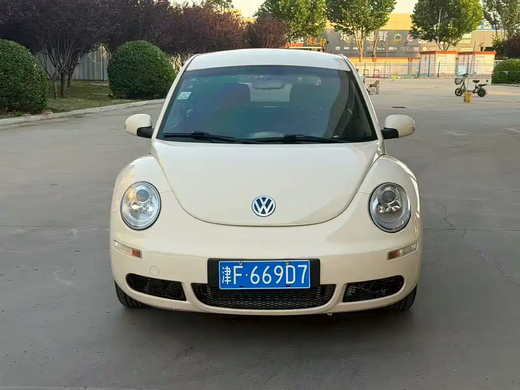 Volkswagen Beetle 2010