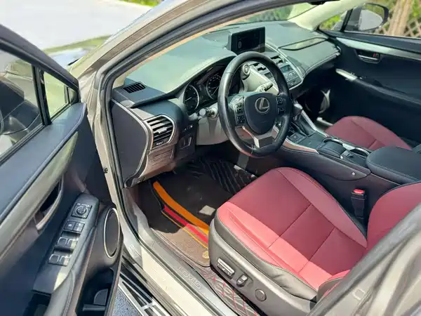 Lexus NX 2020