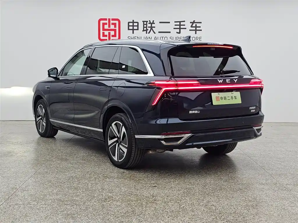 Wey Lanshan 2024